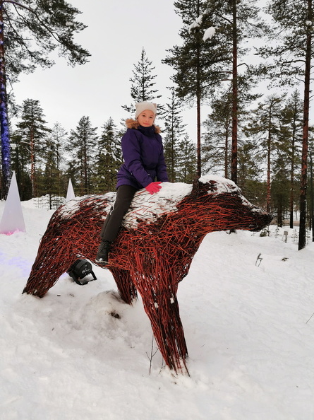 НГ в Финляндии